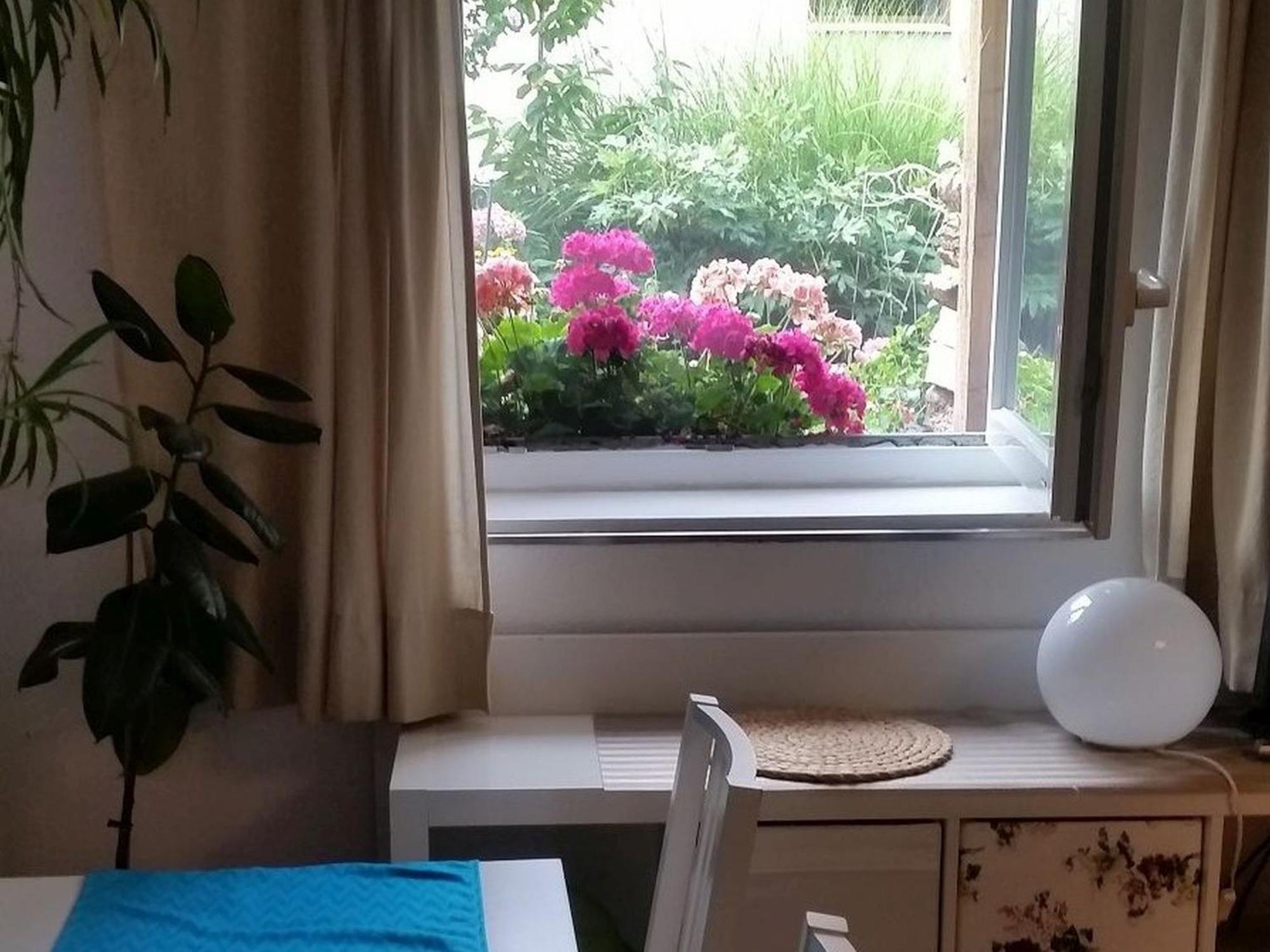 Ferienwohnung Am Berg, 35Qm Rickenbach  Eksteriør billede